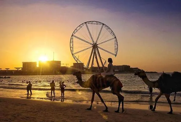 Al Marsa Apartment Dubai